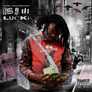 L14png — Lucki All Projects option 5