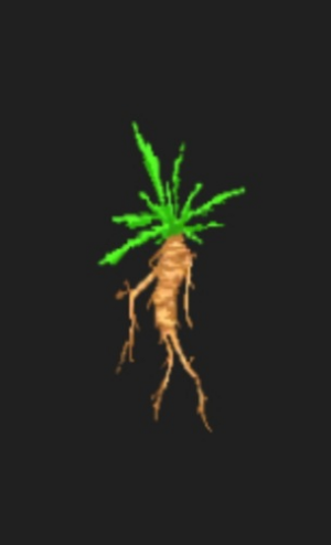 20210508171915jpg — Magic Survival Artifacts option 22