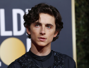 Timothee Chalametjpg — male celebs option 80