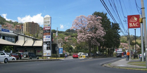 Img3884jpg — Malls de Costa Rica option 24