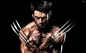 Wolverinejfif — Marvel and DC Superheroes option 110