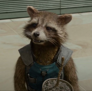 Rocket Racoon Guardians Of The Galaxy Vol1jfif — Marvel cinematic characters option 62