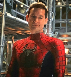 Spider Man Iconjfif — Marvel cinematic characters option 69