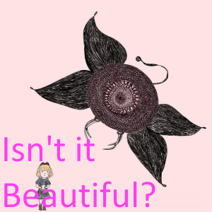 Zz1611718707isntitbeautifulpng — McCafferty - Everything option 44