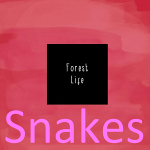 Zz1611718709snakespng — McCafferty - Everything option 70