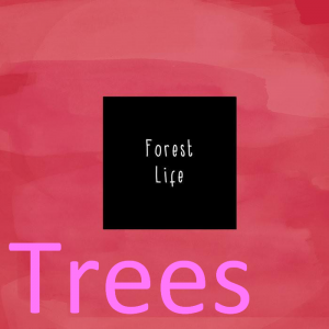 Zz1611718710treespng — McCafferty - Everything option 83