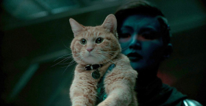 Zz1618875879goose The Catjpg — MCU Characters in 2021 option 119