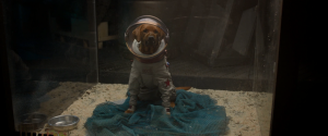 Zz1633066752cosmo The Dogpng — MCU Characters in 2021 option 174