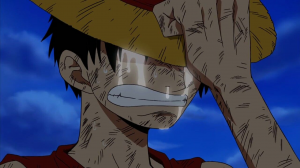 C325ea47c8c3291eac309802d99a6de1jpg — Mejores momentos de One Piece option 34
