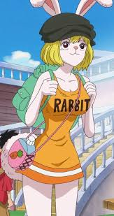 Descarga 47jpg — mejores personajes de one piece option 56