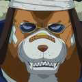 Inuarashiportraitpng — mejores personajes de one piece option 112