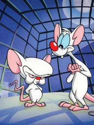 Pinky E O Cerebro 1614458039415v2450x600jpg — MELHORES DO BOM DIA E CIA option 84