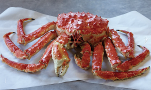 Whole Kingpng — Members of the Crustacean Family option 17