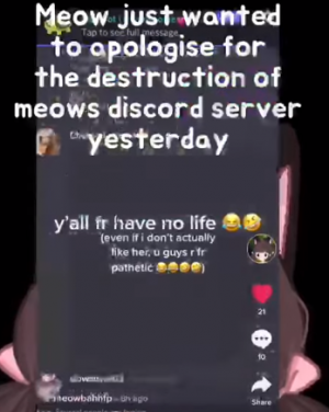 Meowbahh new discord server 