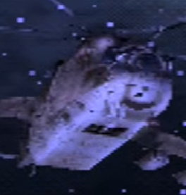 Mgshinddpng — Metal Gear Series Boss Fights option 64