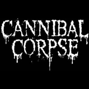 B36cde97 7ed4 4052 Affc 7c31a1cdff88jpeg — Metal/Metalcore/Alt Metal Bands option 23