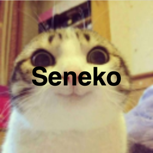 Emage 4png — Miembros de One Piece Crew option 5
