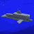 Dolphinsmpng — Minecraft 1.15 Monsters option 10