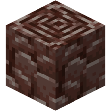 225px Ancientdebrisje1be1png — Minecraft 1.16 Nether Update Tier List option 5