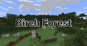 Birchforestpng — Minecraft 1.18 Biomes option 5