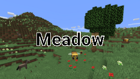 Mountainmeadowspng — Minecraft 1.18 Biomes option 33