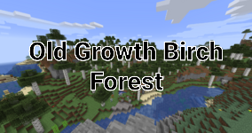 Tallbirchforestpng — Minecraft 1.18 Biomes option 55