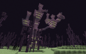 300px Endhighlandspng — Minecraft All Biomes option 17