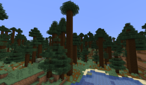 300px Gianttreetaigapng — Minecraft All Biomes option 25