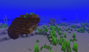 300px Oceanpng — Minecraft All Biomes option 40