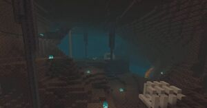 300px Soulsandvalleyjpg — Minecraft All Biomes option 52