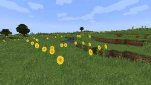 300px Sunflowerplainspng — Minecraft All Biomes option 54