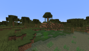 300px Swamppng — Minecraft All Biomes option 56