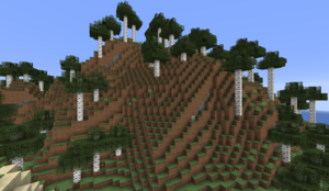 300px Tallbirchforestpng — Minecraft All Biomes option 59