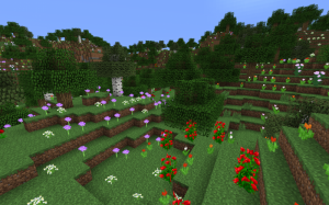 Aa05e2c35e33c3f47aa81baa5add7a96png — Minecraft Biomes 1.16.4 option 1