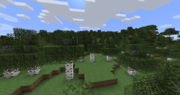 Birchforestpng — Minecraft Biomes 1.16.4 option 4