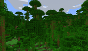 Junglepng — Minecraft Biomes 1.16.4 option 14