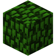 Leavespng — Minecraft Block Tier List option 26