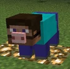 Cursed Pigjpeg — Minecraft Cursed Images option 12
