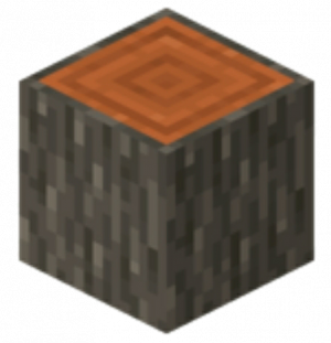 1590625460548png — Minecraft Logs Tier List 1.16 Updated option 5