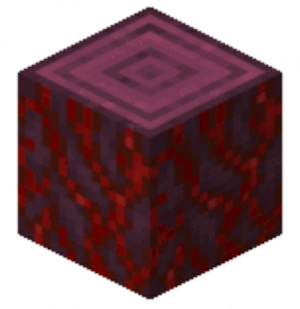 1590625521336png — Minecraft Logs Tier List 1.16 Updated option 7