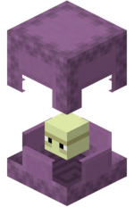 150px Shulkerpng — Minecraft Mob Tier List option 19