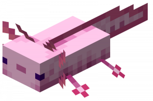 Lucyaxolotlje2png — Minecraft Mobs - 1.17 Version option 29