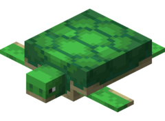 Turtlepng — Minecraft Mobs - 1.17 Version option 57