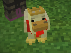 Benedictpng — minecraft story mode characters option 7
