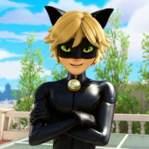 Catnoirsquarepng — Miraculous Ladybug Hero and Villain Outfits option 4
