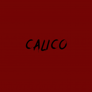 Calico - song and lyrics by DPR IAN