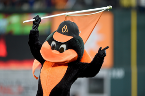 Oriole Birdjpeg — MLB Mascots (2021) Tier Maker option 15