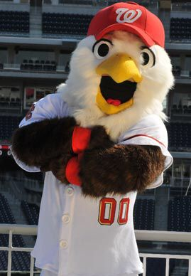 Screechjpg — MLB Mascots (2021) Tier Maker option 20