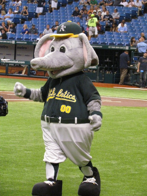 Stomperjpg — MLB Mascots (2021) Tier Maker option 24
