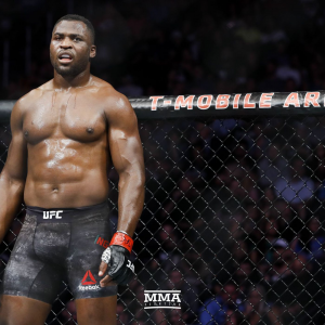 082francisngannouvsderricklewisjpg — MMA fighters (UFC) option 1